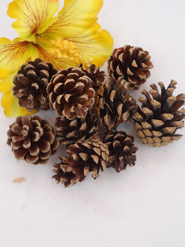 ZZ-TPN-PINESM-12 Pine Cone Small 12 Pack - NATURAL BIRD TOY PARTS