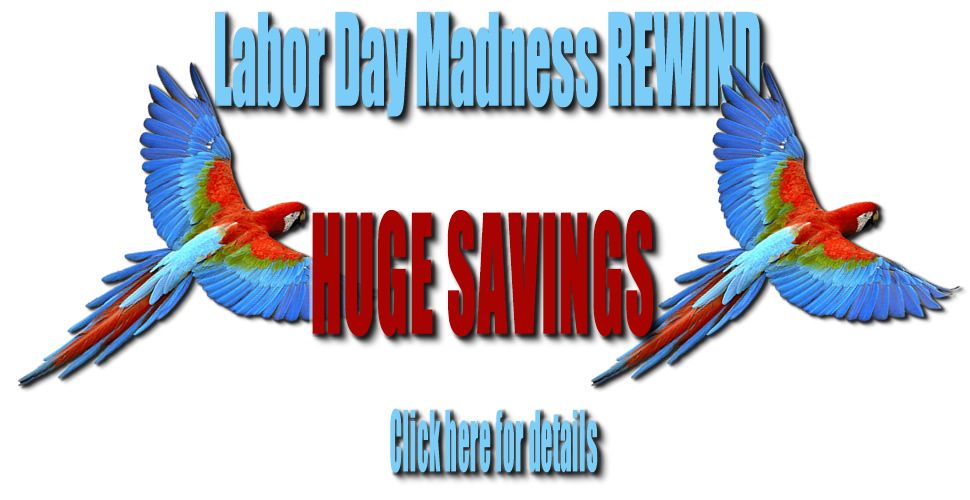 labor_day_madness_rewind_r1_c1.jpg