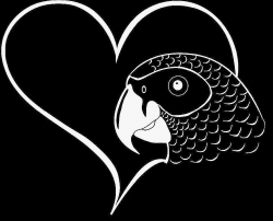 African Grey Window Decal