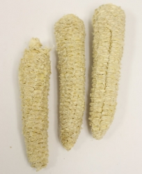 Natural Corn Cob Carrots