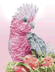 Diamond Dotz Pink Galah Faceted Art Kit