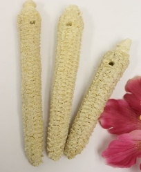 Drilled Natural Corn Cob Carrots 3 Pack