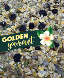 Golden Gourmet Banana Raisin Pudding Cookable