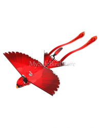 Remote Controlled Amazon GoGo Bird Red