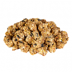 Kaytee Granola Bites w/Superfoods Blueberry & Flax