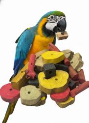 Java Wood Grab Bag 2 Pound Assortment