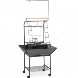 Prevue Pet Small Hammertone Play Gym