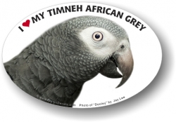 Timneh African Decal