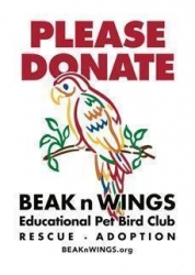 Beak & Wings Rescue