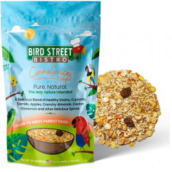 Bird Street Bistro CinnaSpice Delight 24 oz