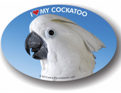 Umbrella Cockatoo Decal