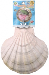 Polly's Comfy Clam Flat Perch Large
