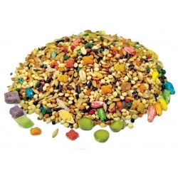 FM Brown's Tropical Carnival Parakeet 2 lb