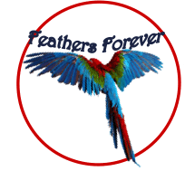 Forever Feathers Rescue