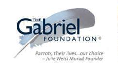 The Gabriel Foundation