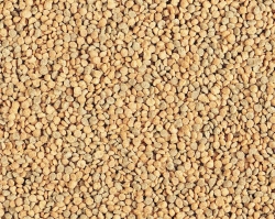 Hari Tropican Lifetime 2mm Granules Per Pound