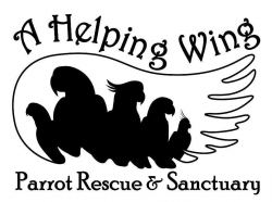 A Helping Wing