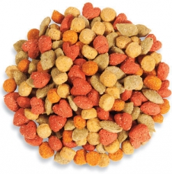 Higgins In Tune Cockatiel/Conure Pellets BULK/lb