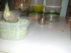 Loving her Just Peas!