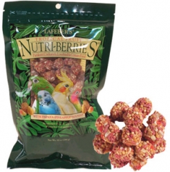 Lafeber's Nutriberries Tropical Fruit  Tiel 10 oz