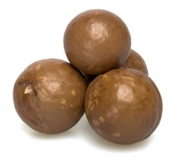 Macadamia Nuts In Shell Bulk Per Pound