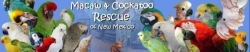 Macaw & Cockatoo Rescue of New Mexico