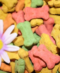 Your Favorite Mini Dog Biscuits 1/2 Lb