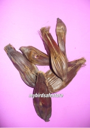 Mini Palm Pods with holes 3 Pack