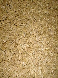 Oat Groats Bulk By The Pound