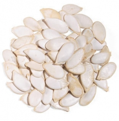 Pumpkin Seed BULK PER POUND