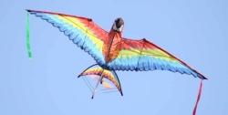 RC Wildwings Radio Controlled 3-D Macaw