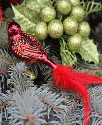 Old World Christmas Red Songbird Glass  Ornament