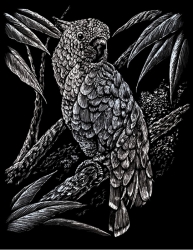 Royal & Langnickel Engraving Art Cockatoo