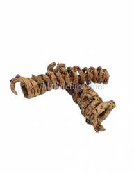 Natural Palm Tail Spring 12 Pack
