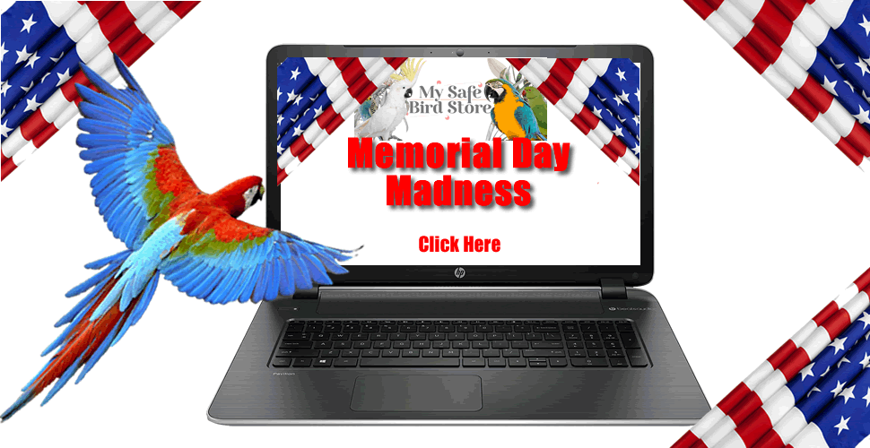 memorial_day_madness_r1_c1.png