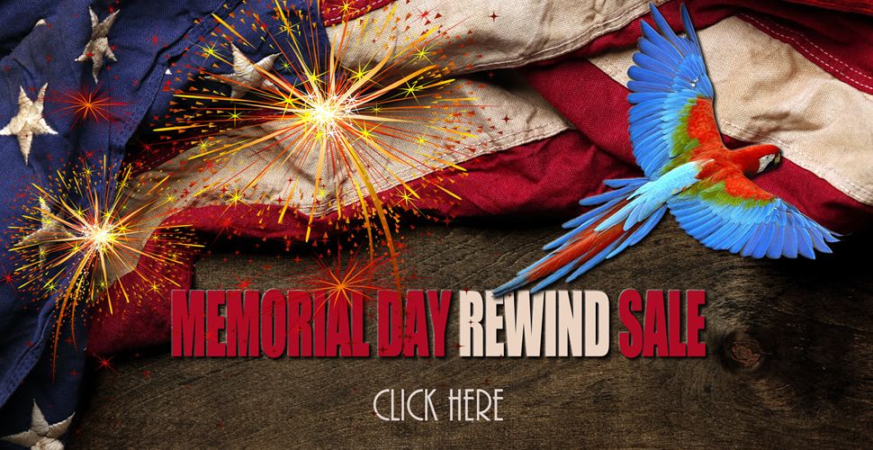 memorial_day_rewind_sale.fw_r1_c1.jpg