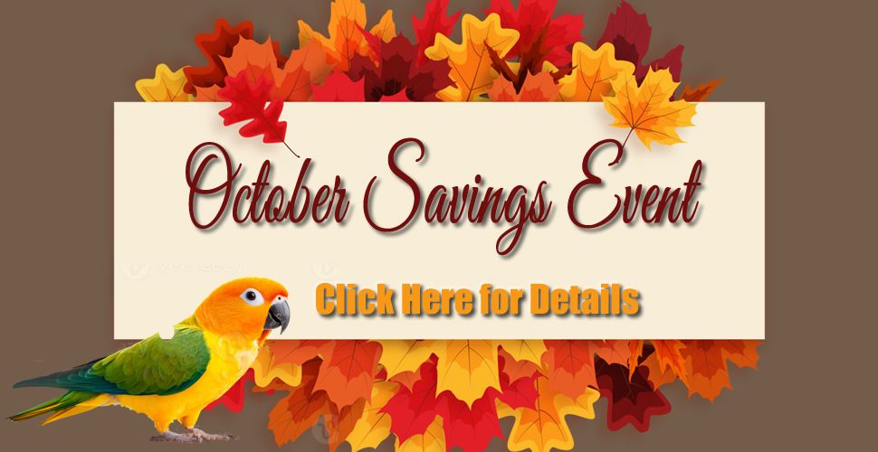 october_savings_event_brown_click_here_r1_c1.jpg