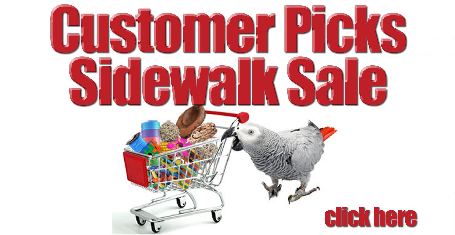 burlington bird store