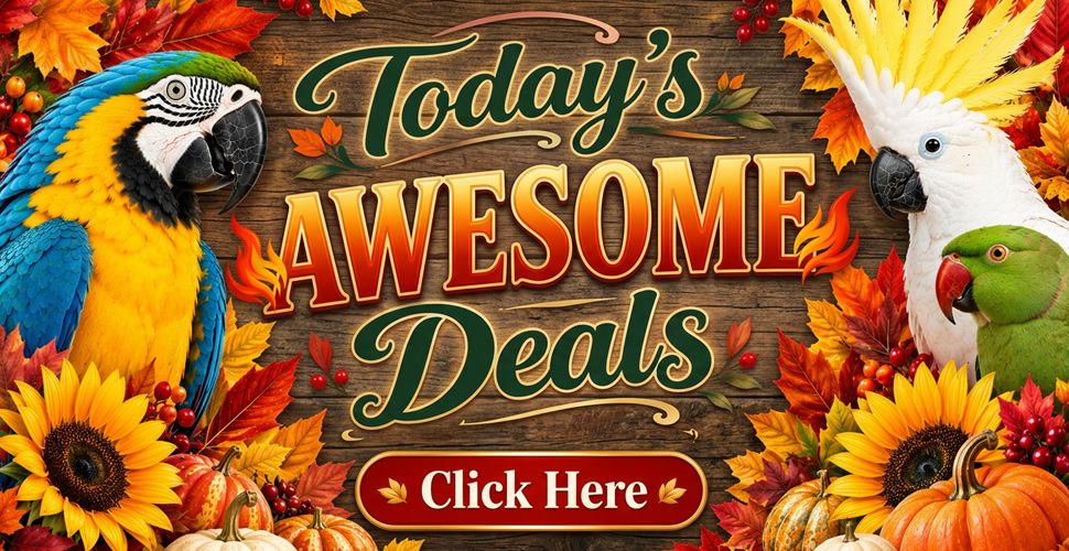 todays_awesome_deals_r1_c1.jpg
